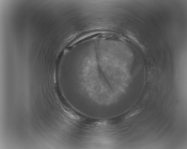 X0000051240068200507082135