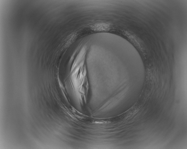 X0000051240069200507082135