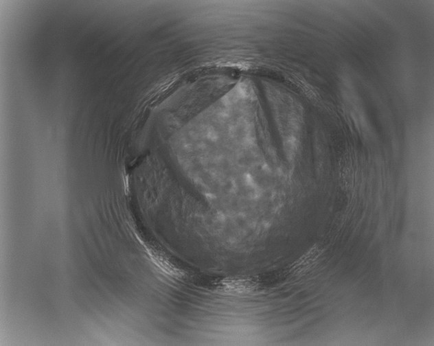 X0000051240070200507082135