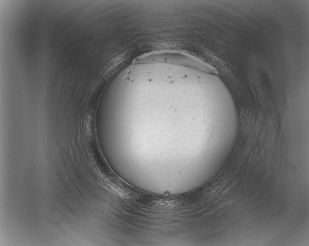 X0000051240071200507082135