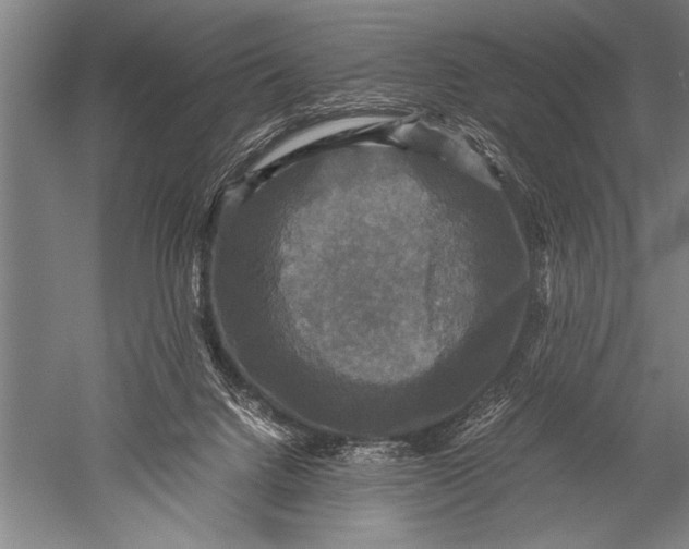 X0000051240072200507082135