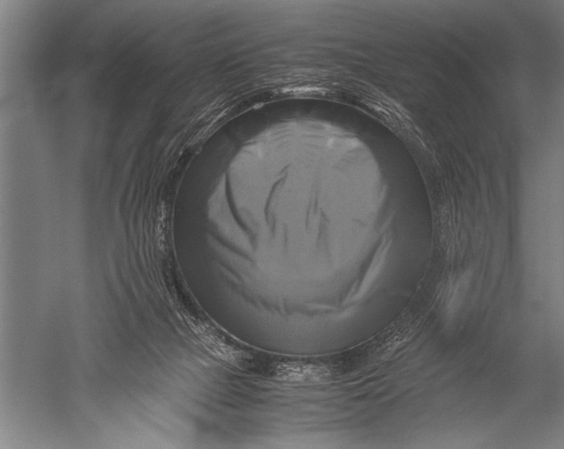 X0000051240073200507082135