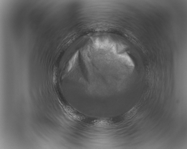 X0000051240074200507082135