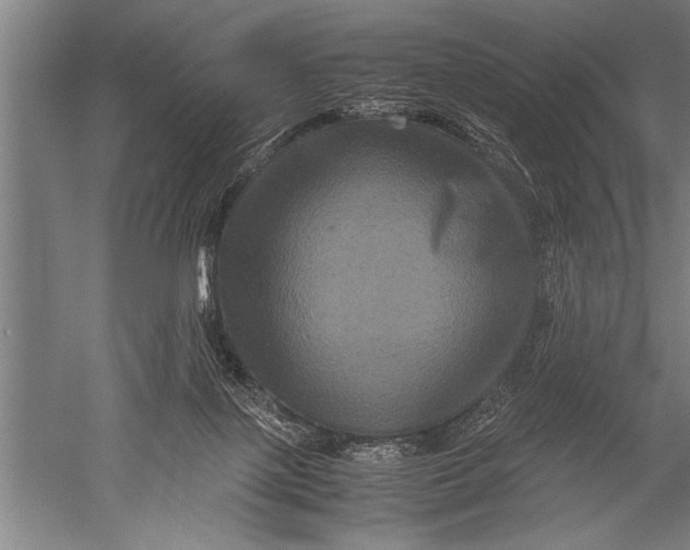 X0000051240075200507082135