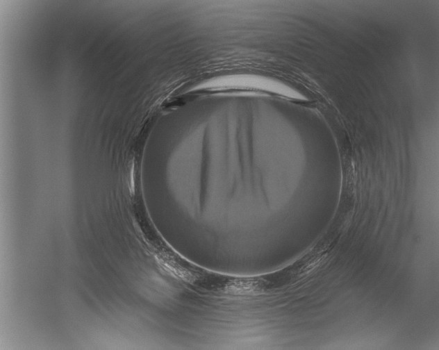 X0000051240076200507082135