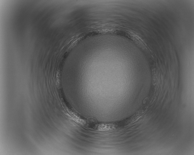 X0000051240077200507082135