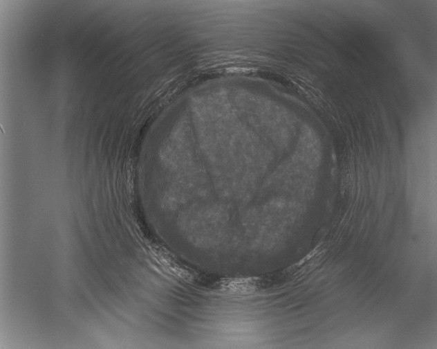 X0000051240078200507082135