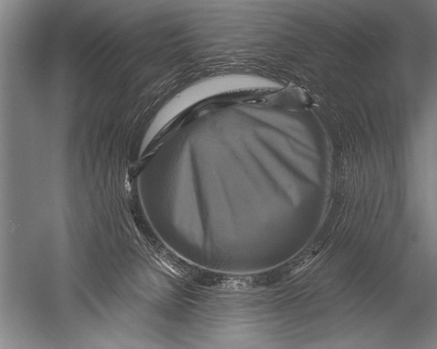 X0000051240080200507082135