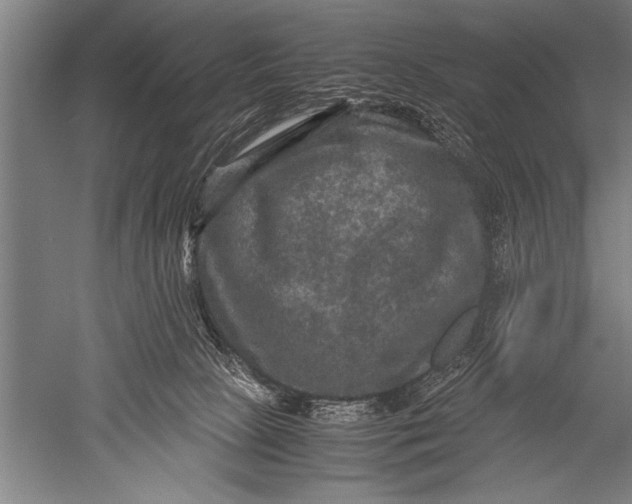 X0000051240081200507082135