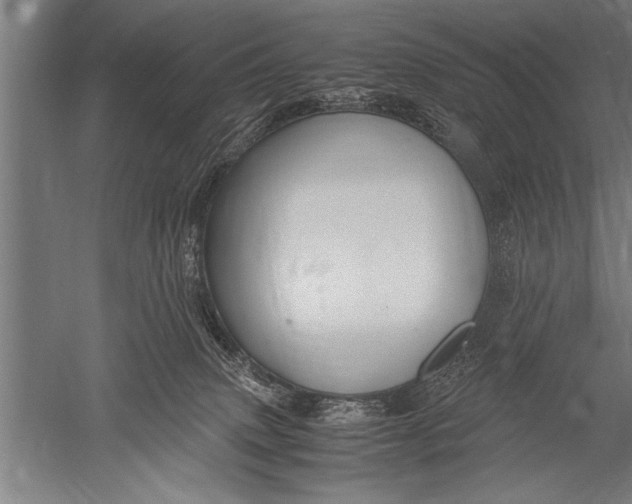 X0000051240083200507082135