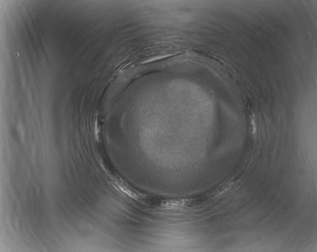 X0000051240084200507082135