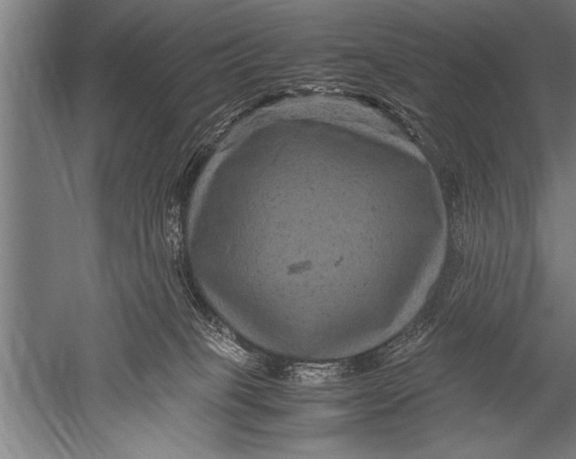 X0000051240085200507082135