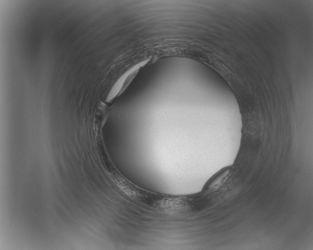 X0000051240086200507082135