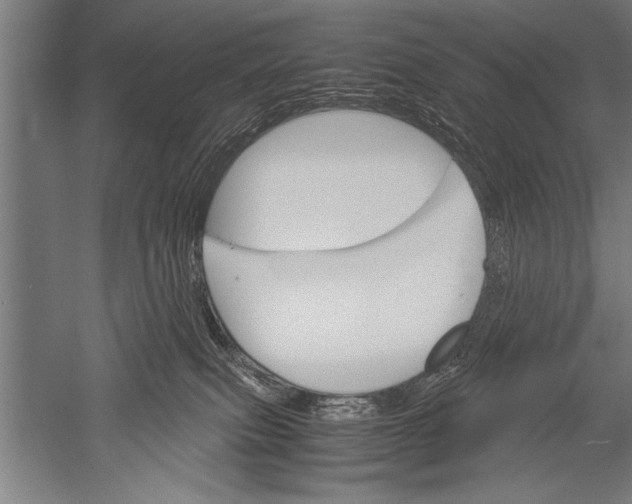 X0000051240087200507082135