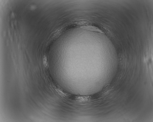 X0000051240089200507082135