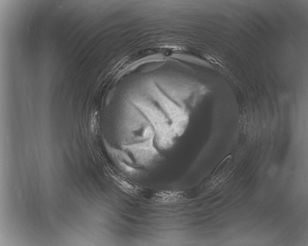 X0000051240093200507082135