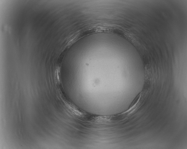 X0000051240094200507082135