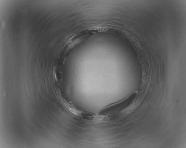 X0000051240096200507082135