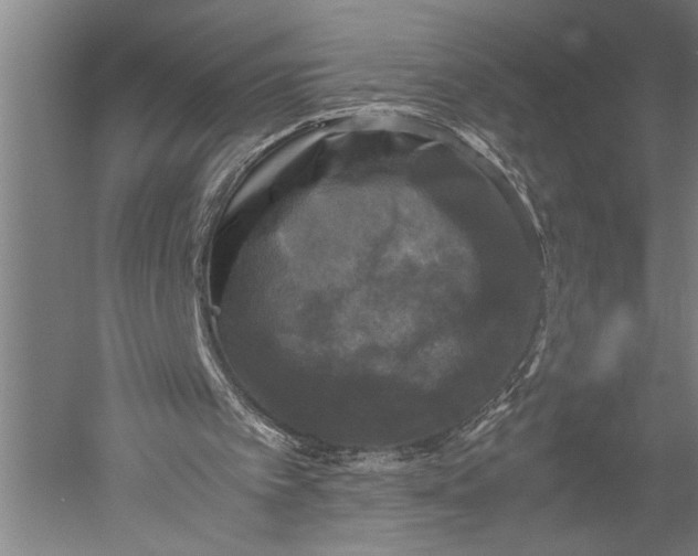 X0000051240097200507082135