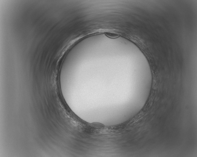 X0000051240098200507082135