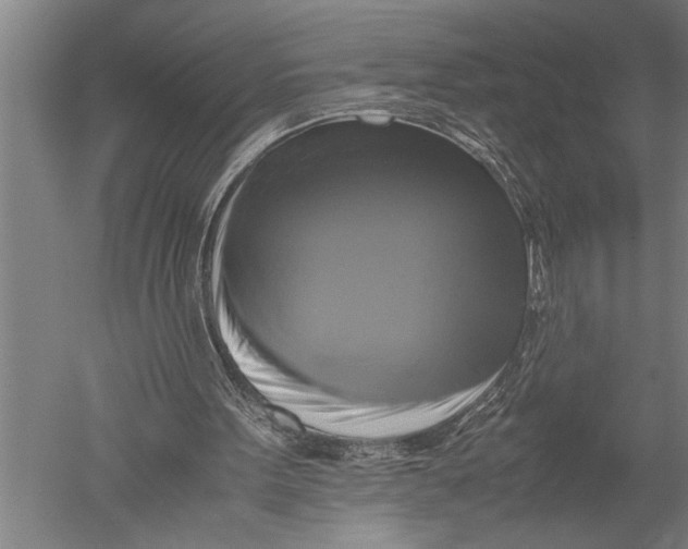 X0000051240099200507082135