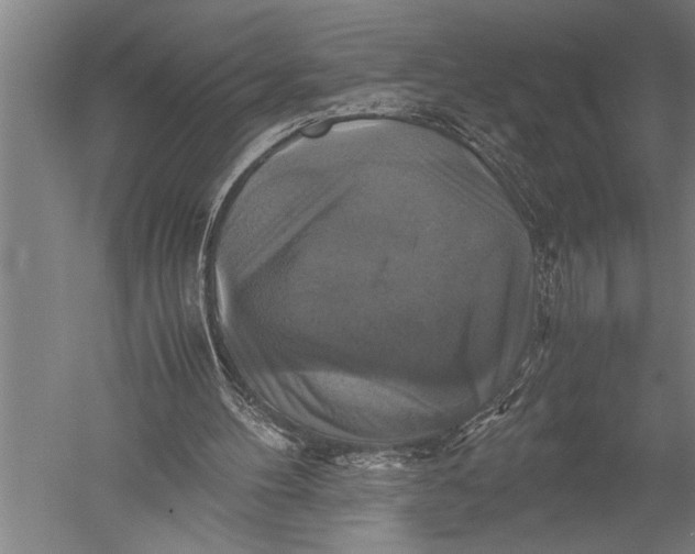 X0000051240100200507082134