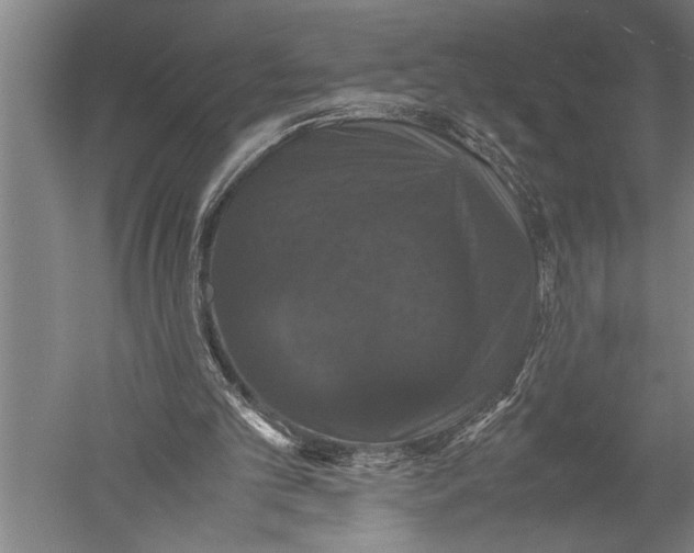 X0000051240101200507082134