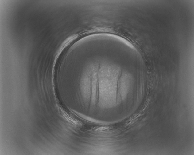 X0000051240104200507082134