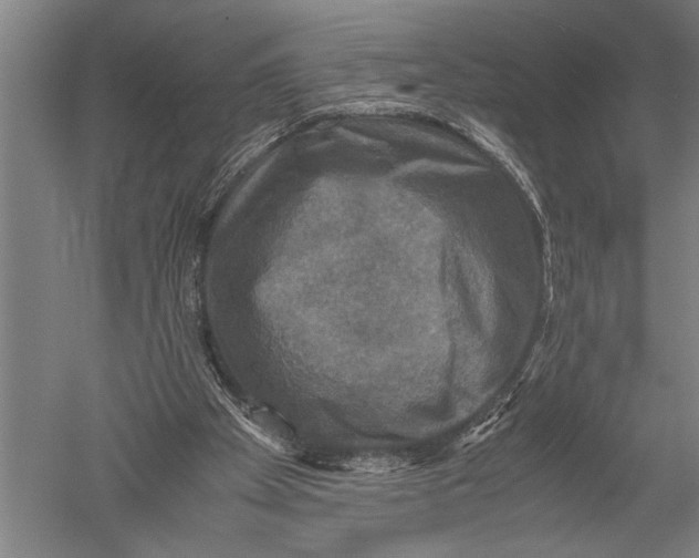 X0000051240105200507082134