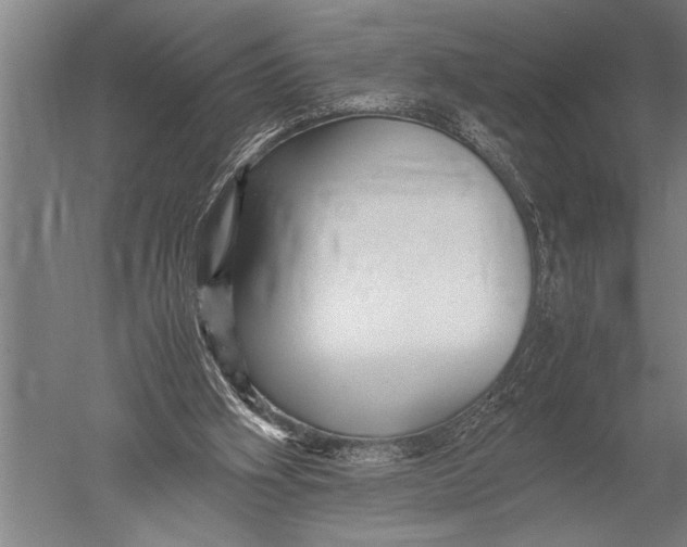 X0000051240106200507082134