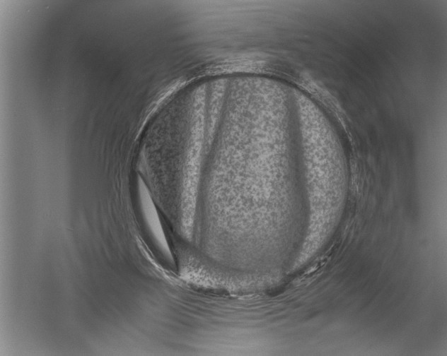 X0000051240107200507082134