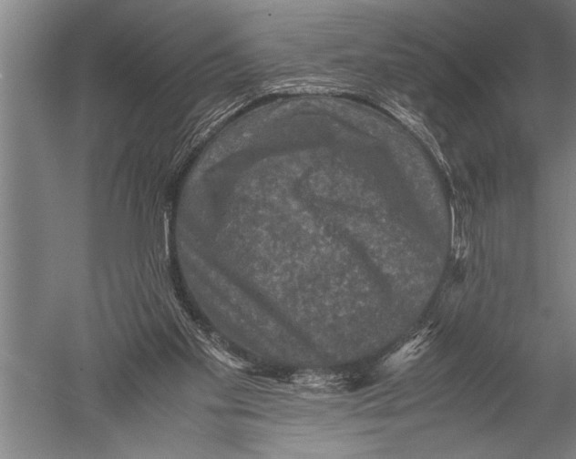 X0000051240109200507082134