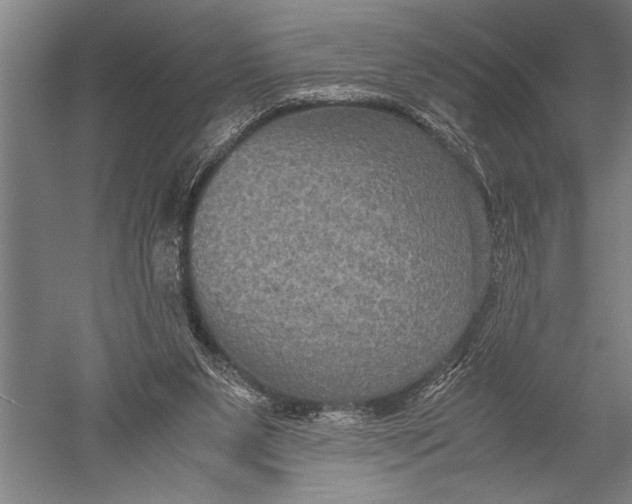 X0000051240111200507082134