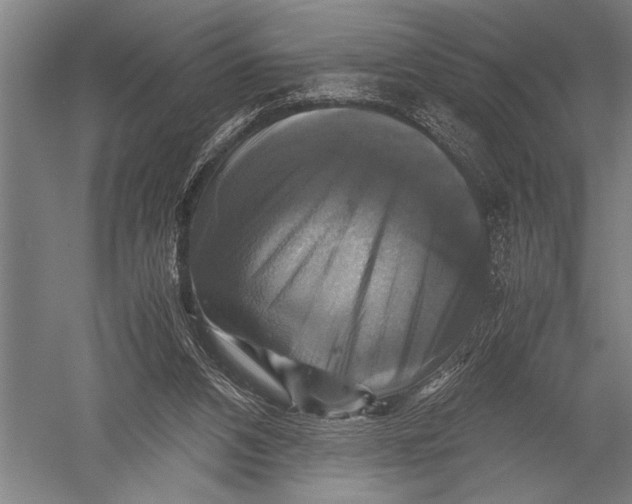 X0000051240112200507082134