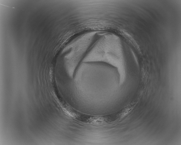 X0000051240113200507082134