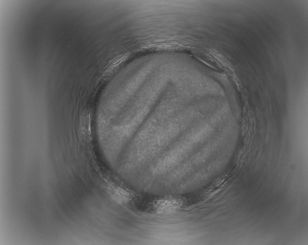 X0000051240115200507082134