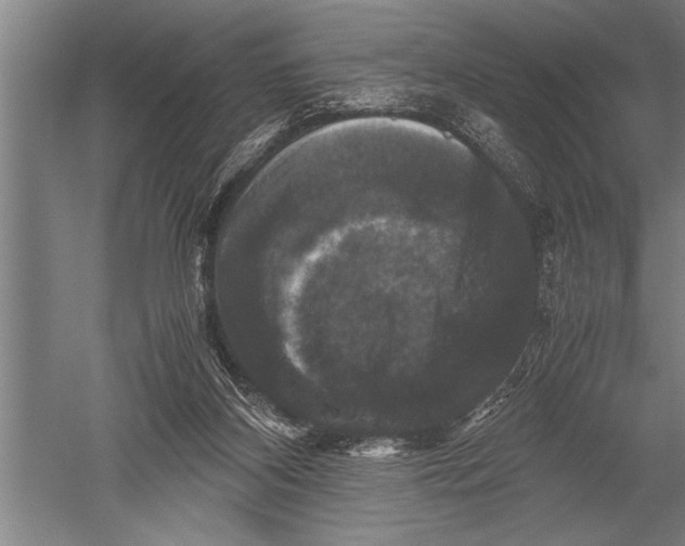 X0000051240116200507082134