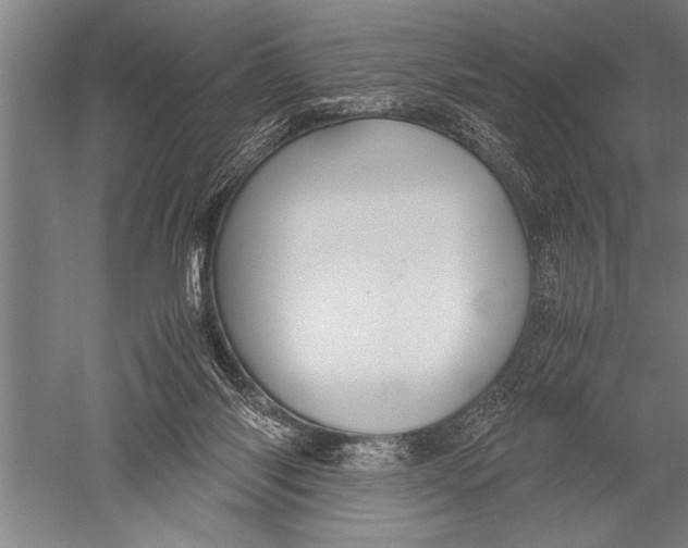 X0000051240118200507082134