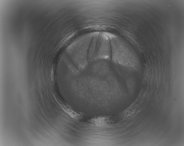 X0000051240120200507082134