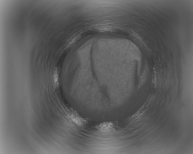 X0000051240124200507082134