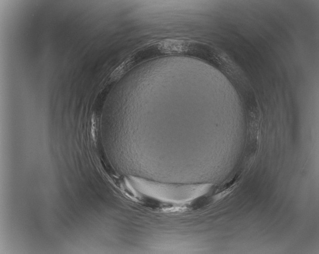 X0000051240125200507082134