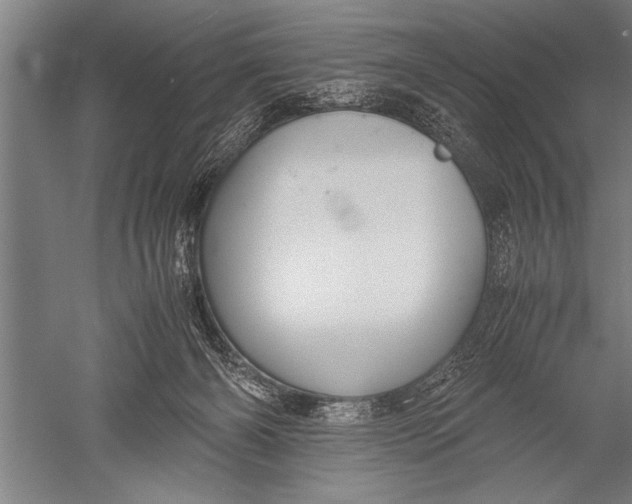 X0000051240126200507082134