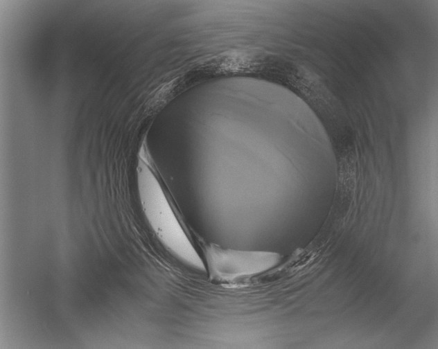 X0000051240127200507082134