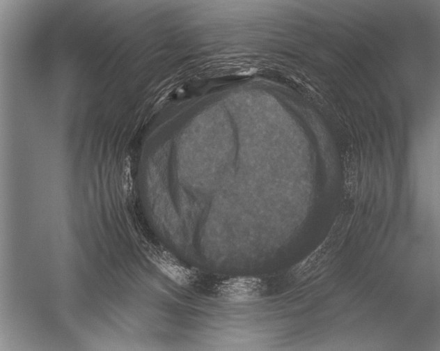 X0000051240128200507082134