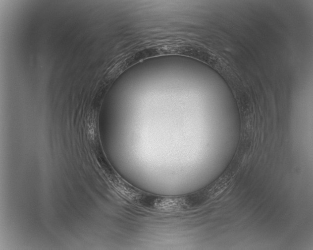 X0000051240129200507082134