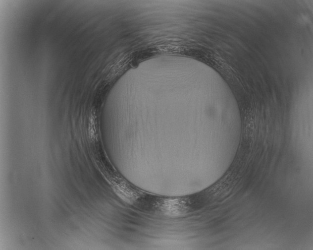 X0000051240130200507082134