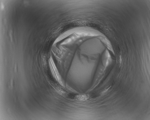 X0000051240131200507082134