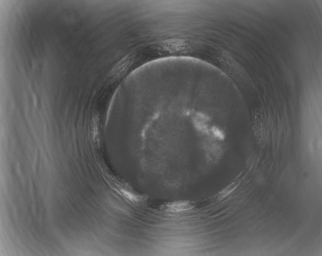 X0000051240132200507082134