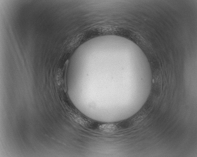 X0000051240133200507082134