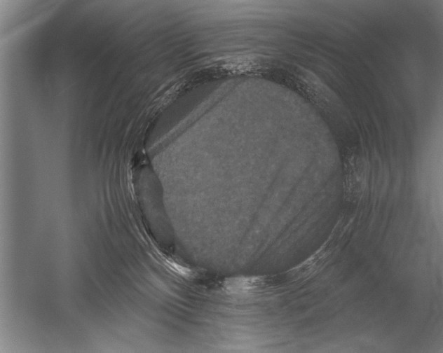 X0000051240136200507082134